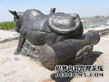 ţ